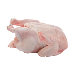 Chicken Meat